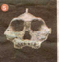 fosil5